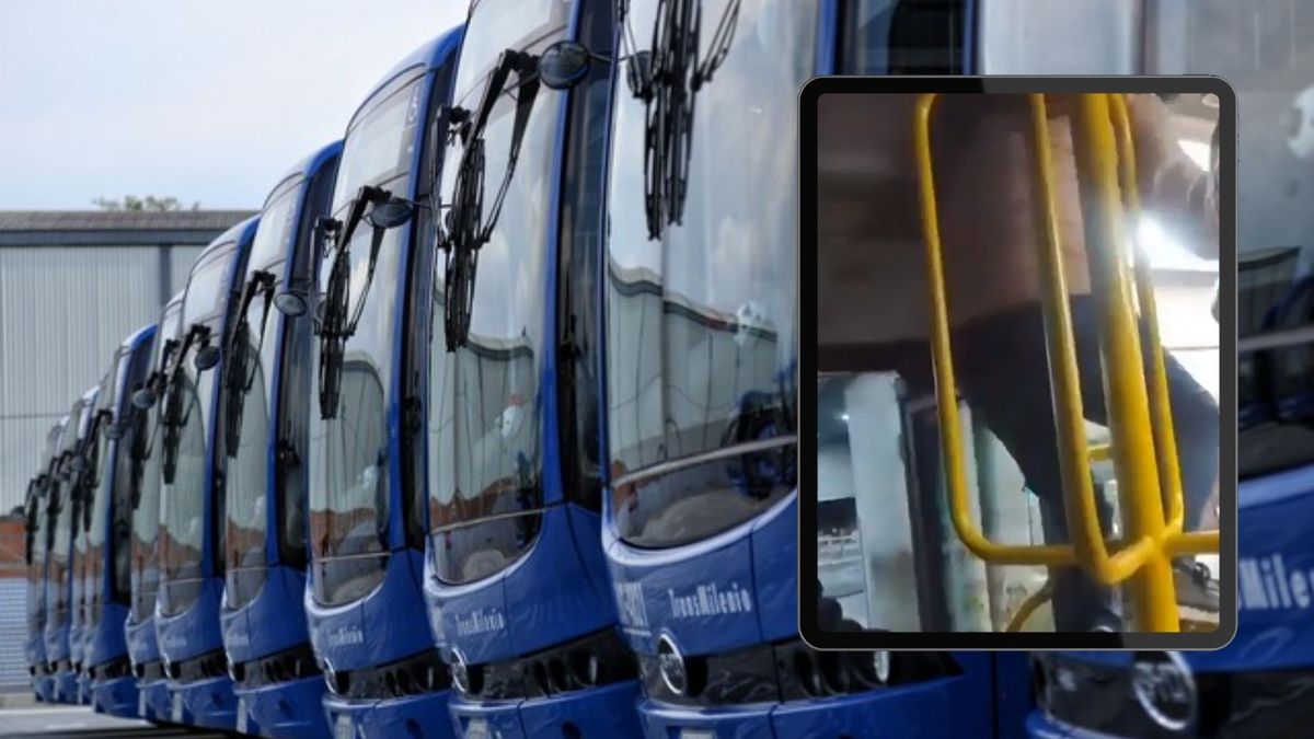 Torniquetes piso a techo SITP pasajeros no caben