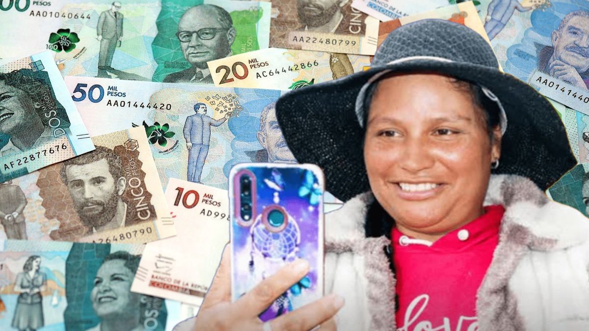 ¿Cómo consultar si es beneficiario de Ingreso Mínimo Garantizado en Bogotá?