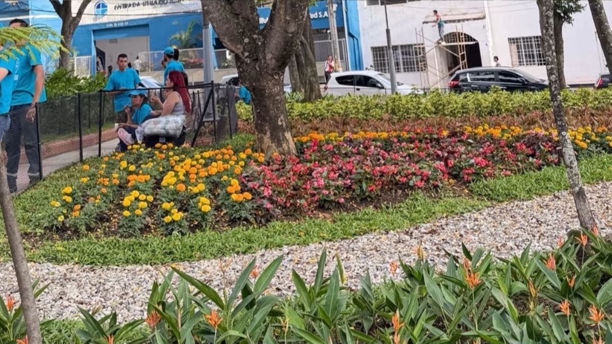 Plantas del Parque Bolívar en Bucaramanga
