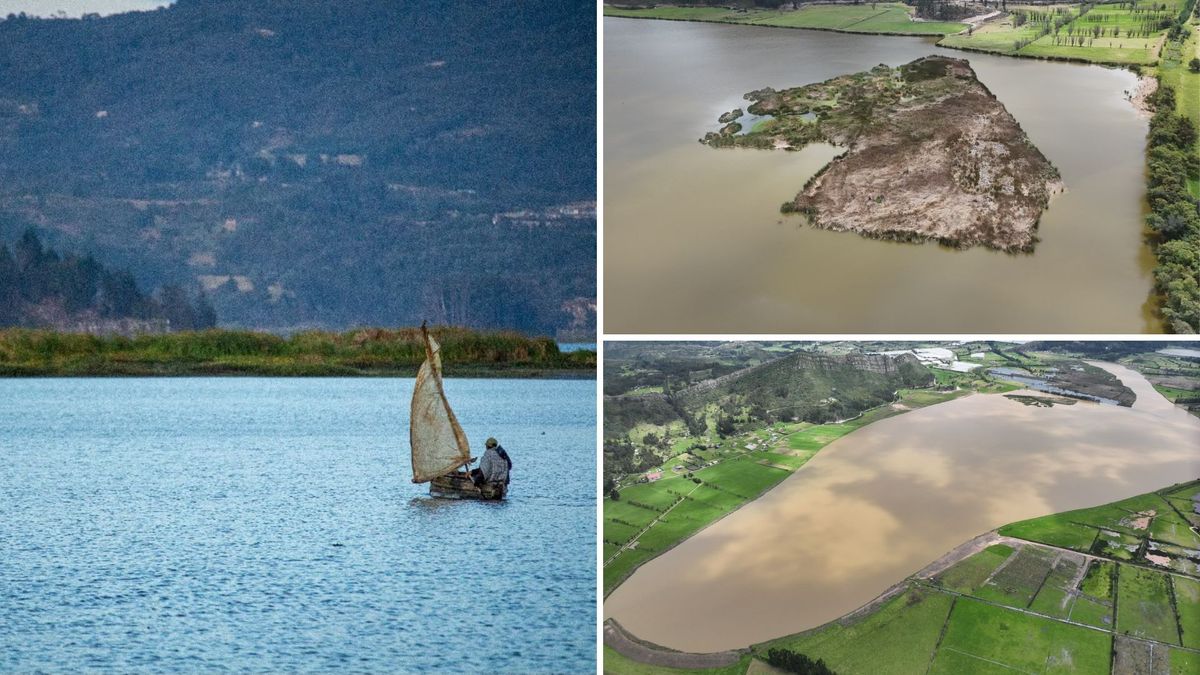 Laguna de Cucunubá: aviturismo y senderos para turistas