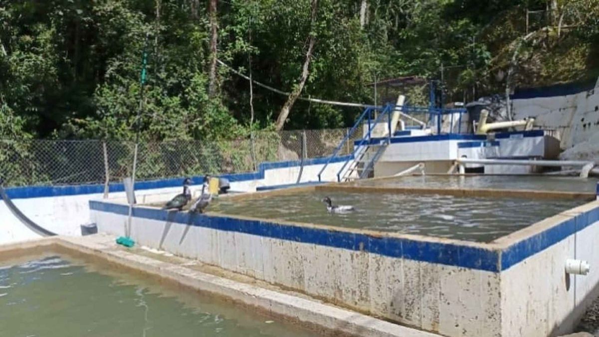 Acueducto AguaFlorida