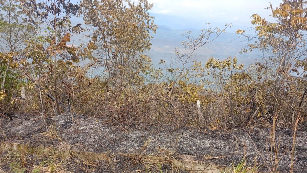 Incendios forestales en Cúcuta