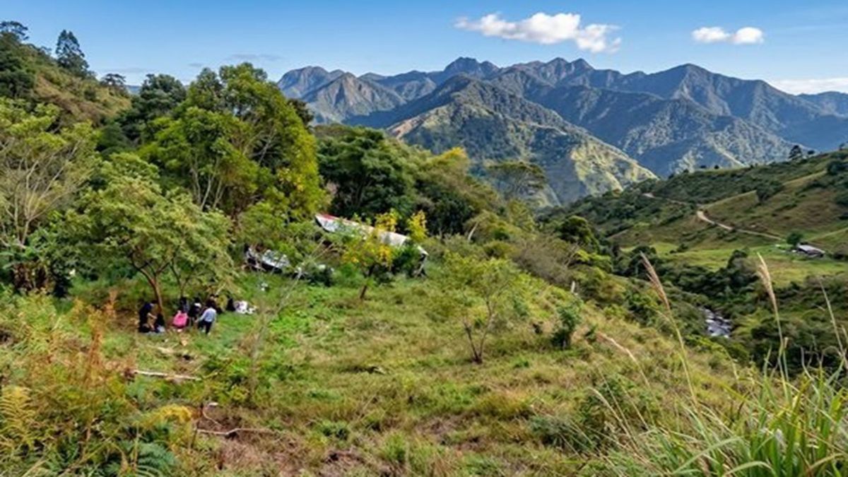 6. Microbús rodó 50 metros por un abismo en Tona: la posible falla mecánica, entre las hipótesis