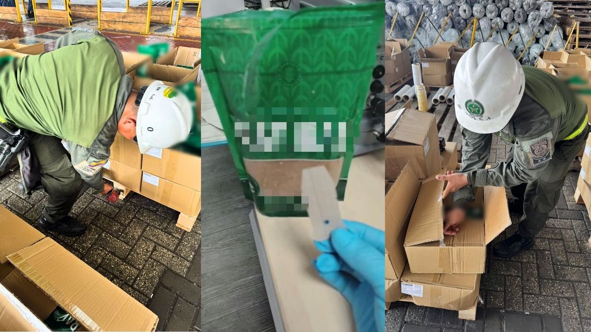 En panela en Polvo: así encontraron más de 7 toneladas de coca en el puerto de Cartagena