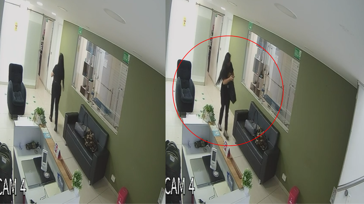 Mujer que robó ecógrafo avaluado en $30 millones