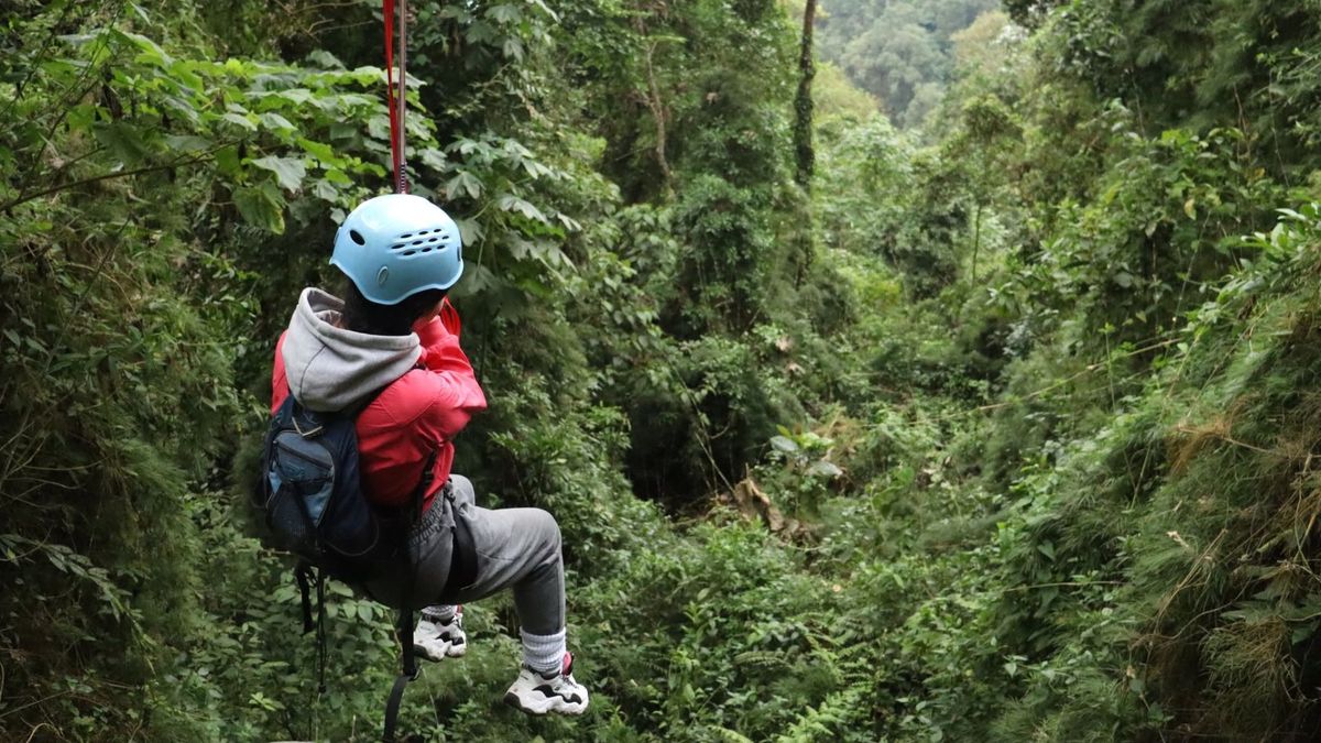 Cómo llegar al Parque Natural Chicaque desde Bogotá