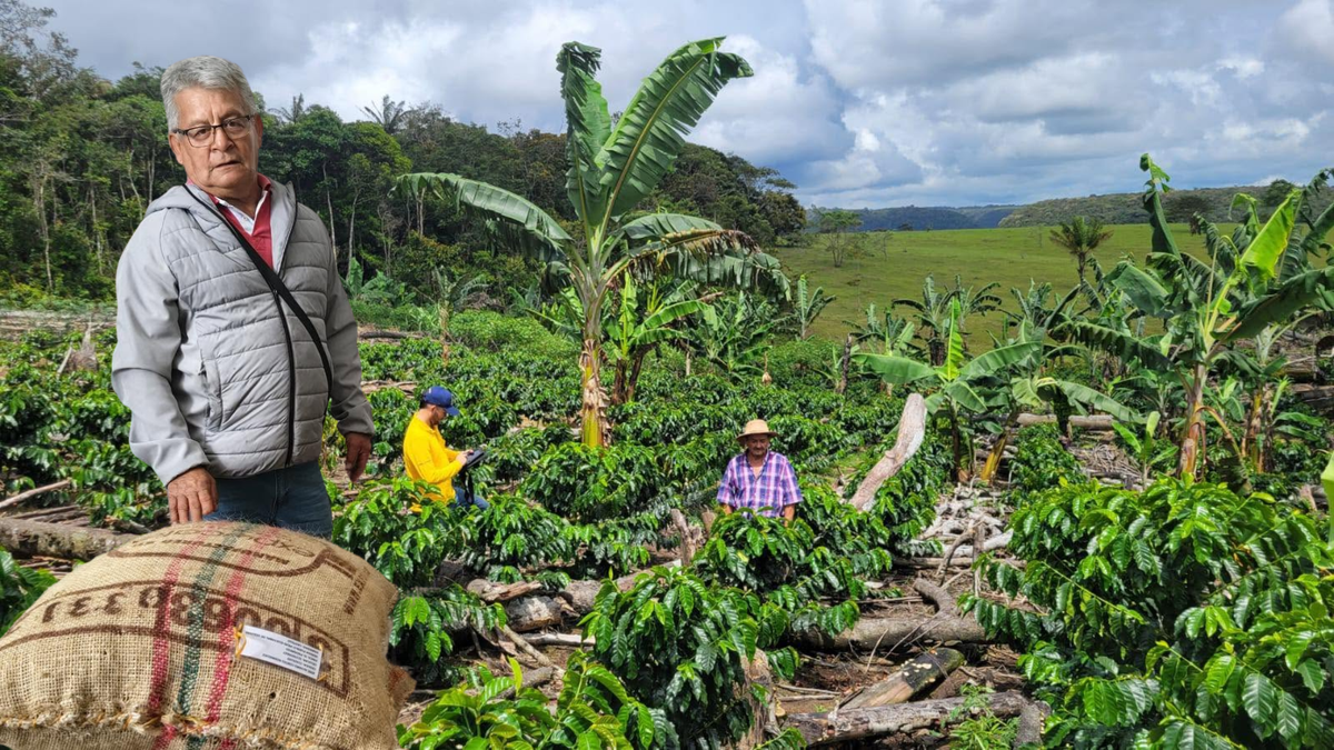 Caficultores Pacho Cundinamarca convenio 240 millones