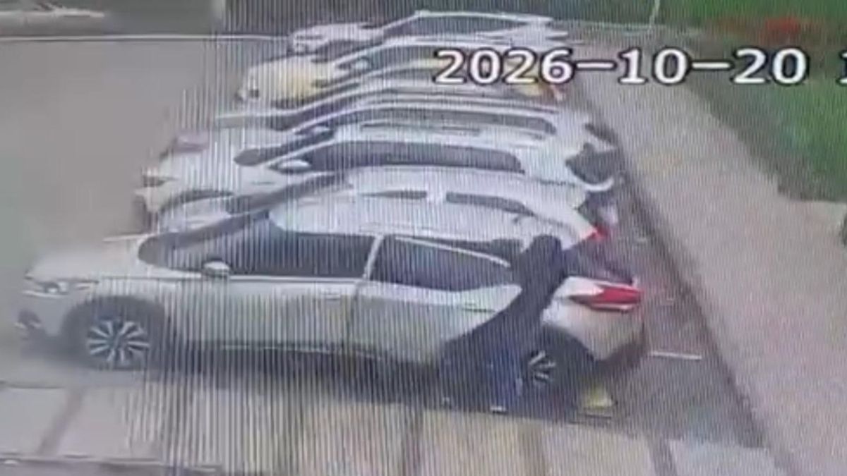 Robo a vehículos