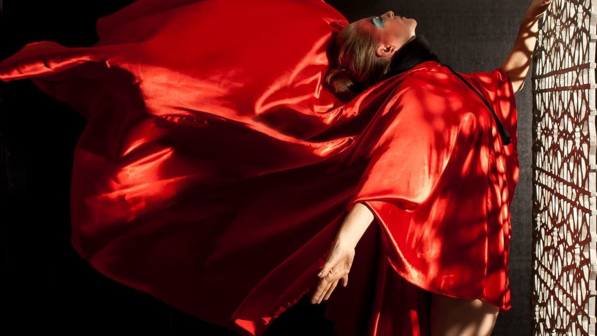 Rossana Lignarolo, artista