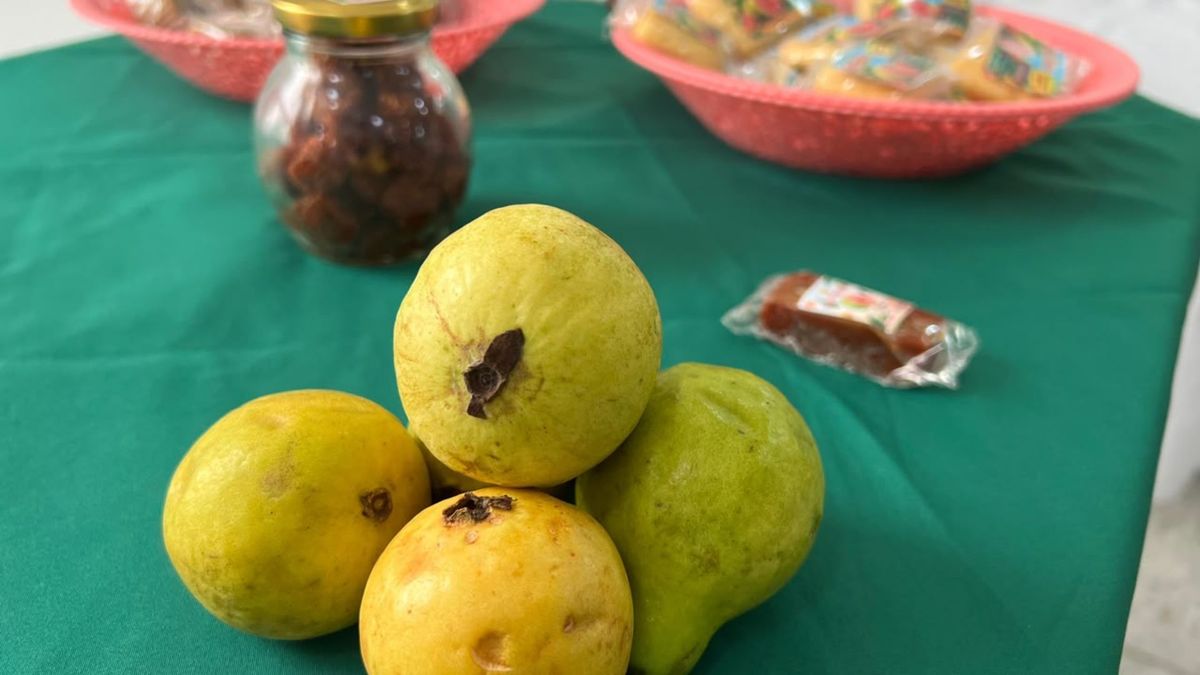 Festival de la Guayaba
