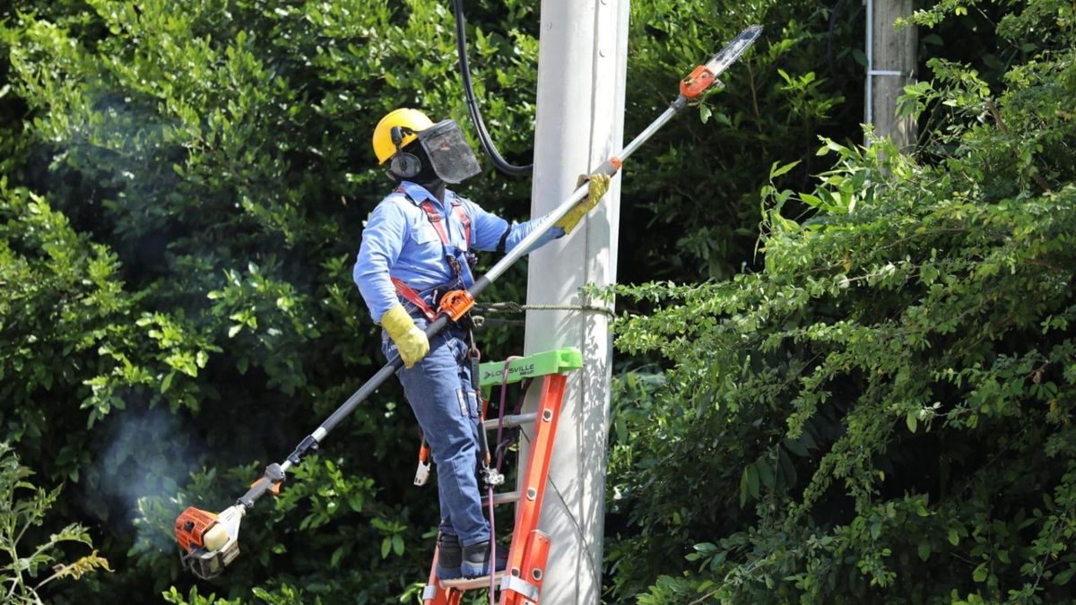 Trabajos de poda y mantenimiento ESSA