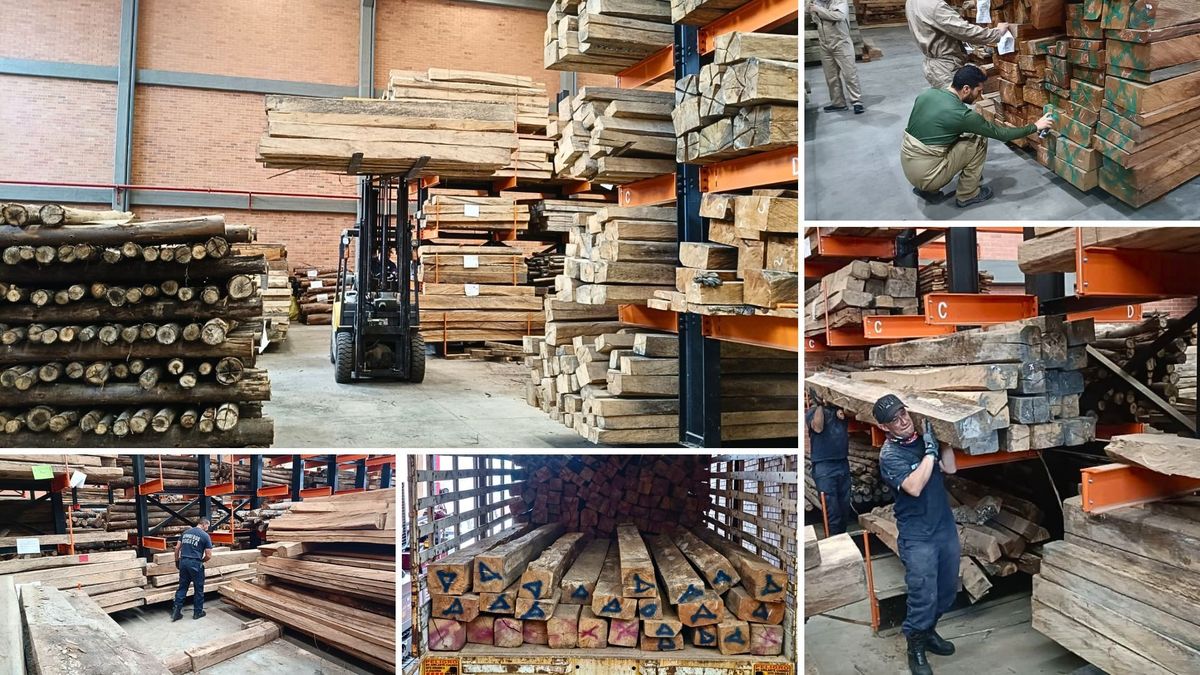 Operativos contra el tráfico y la comercialización ilegal de productos de la biodiversidad