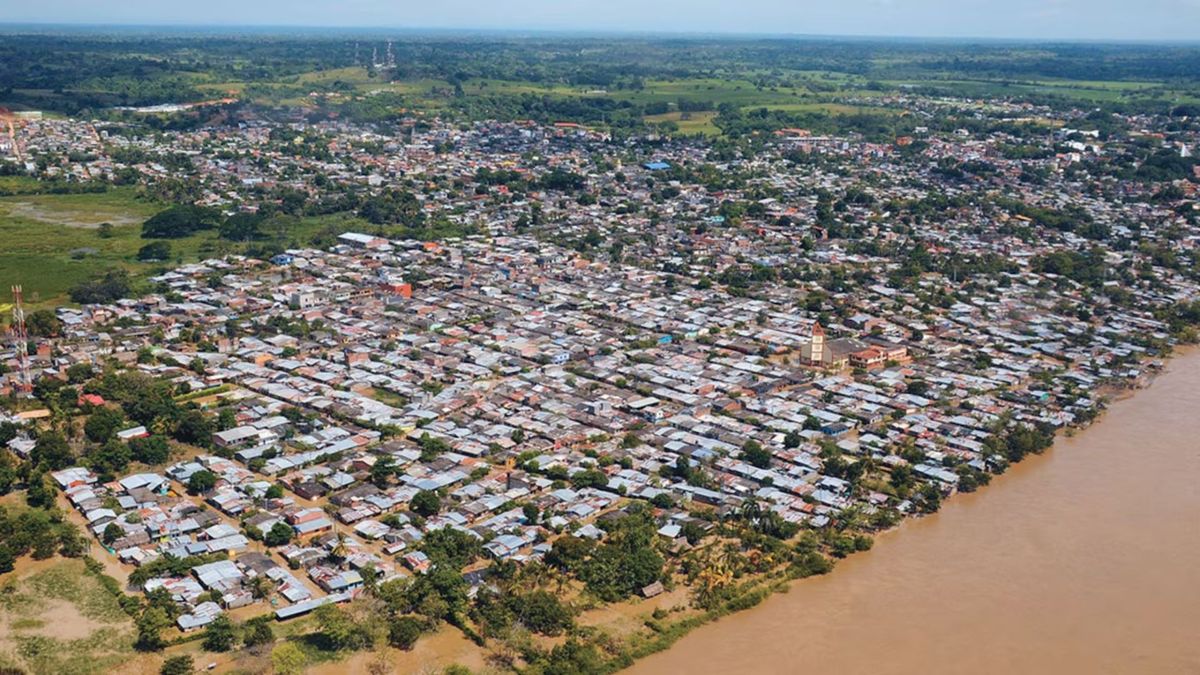 Muerte de reses en Caucasia, Antioquia.