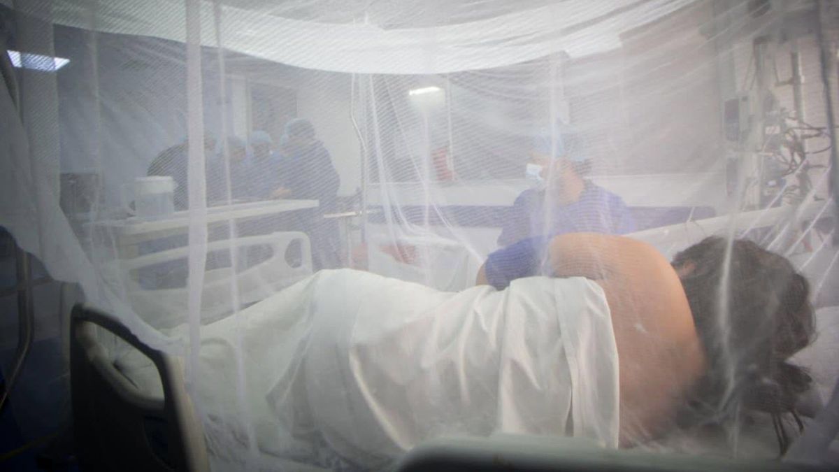 Dengue Tolima | Paciente con dengue | Dengue