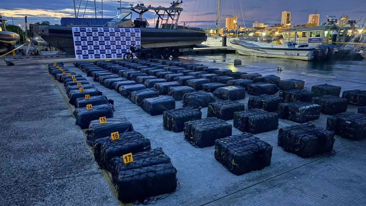 Incautan más de tres toneladas de cocaína en zona rural de Cartagena